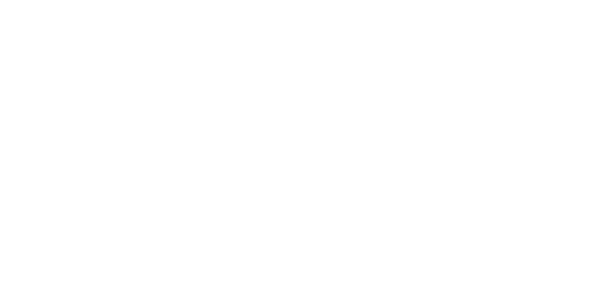 lgo branco novos rumos